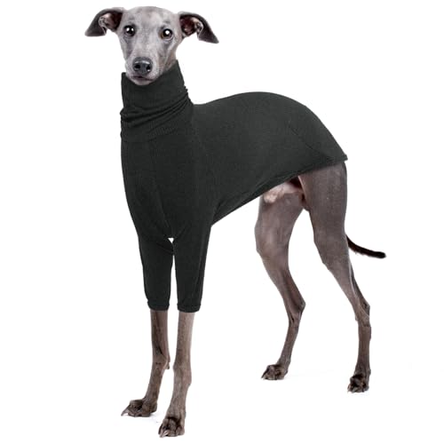 IECOii Rollkragenpullover für Windhunde,Italienischer Windhundpullover,Thermo-Schlafanzug,Lurcher-Strickwaren,Windhundmäntel Hunde im Herbst,Whippet-Sweatshirts,Strickpullover für große Hunde,Grau,XL IECOii Rollkragenpullover für Windhunde,Italienischer Windhundpullover,Thermo-Schlafanzug,Lurcher-Strickwaren,Windhundmäntel Hunde im Herbst,Whippet-Sweatshirts,Strickpullover für große Hunde,Grau,XL von IECOii