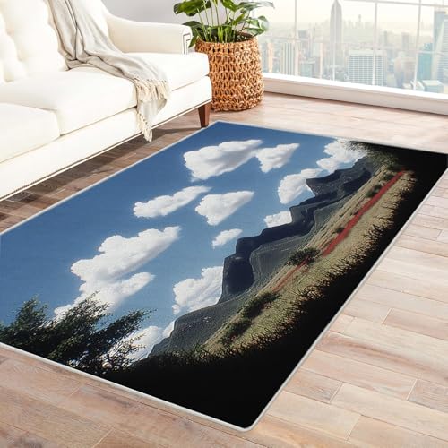 IEPOZWA Abstraktes Design Teppich mit Wellenmuster Weiß Für Flur, Küche, Büro, Anti-Rutsch Unterseite, Dicke, Leicht Zu Pflegen, Langlebig(Grau)-210x300cm von IEPOZWA