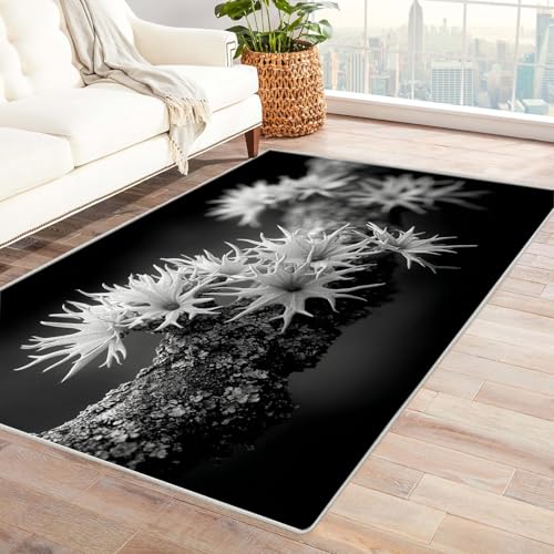 IEPOZWA BläTterpilz FußMatte Personalisiert Dekoration Spiel Schlafzimmer äSthetischer Weicher Dekoteppich Waschbar(Grau)-90x120cm von IEPOZWA