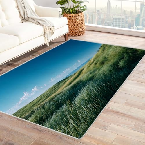 IEPOZWA Farbenfrohes Abstraktes Wellen Design Teppich GrüNland Dicker Flachflor für Flur Küche Essbereich Pflegeleicht Haustierfreundlich(Blau)-240x300cm von IEPOZWA