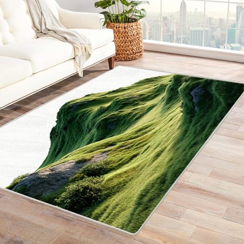 IEPOZWA Moderner Farbblock Teppich mit Unregelmäßigem Design VöGel Waschbar, Schnelltrocknend, Weich, Staubabweisend, Für Wohnbereich, Arbeitszimmer(Orange)-180x240cm von IEPOZWA