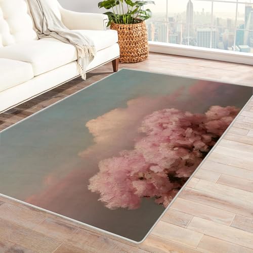 IEPOZWA Moderner Unregelmäßiger Farbblock Teppich Rosa Wolken Waschmaschinengeeignet, Schnelltrocknend, Weiche Textur, Für Wohnbereich, Küche(Rosa)-120x150cm von IEPOZWA