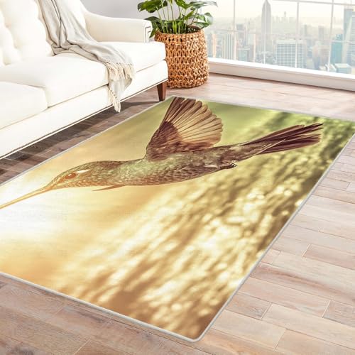 IEPOZWA Teppich Graffiti Vögelchen Unverzichtbare FußMatte FüR Teenager Und Kinder Wohnzimmer, Geeignet FüR Schlafzimmer E-Sport Zimmer(Orange)-90x150cm von IEPOZWA