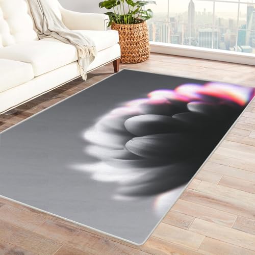 IEPOZWA Unregelmäßiges Farbblock Design Teppich Weiß Für Wohnzimmer, Schlafzimmer, Küche, Anti-Rutsch Rückseite, Dicke, Pflegeleicht(Grau)-240x300cm von IEPOZWA