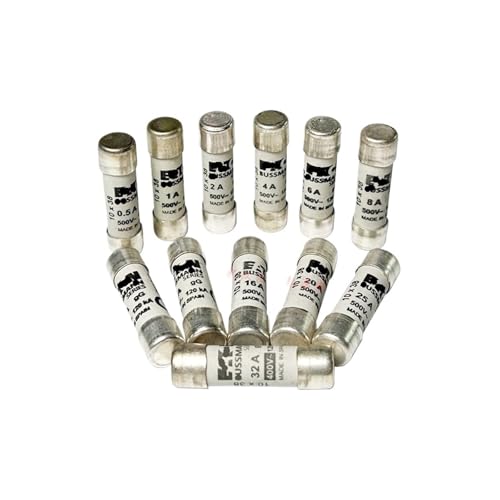 IEUMJNAT 10 Stück Sicherung C10G0.5 C10G1 C10G2 C10G4 C10G6 C10G8 C10G10 C10G12 C10G16 C10G20 C10G25 C10G32 0.5A-32A 10 38 mm. (C10G4 4A) von IEUMJNAT
