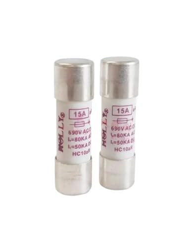 IEUMJNAT 5 Stück HC10aR 10 x 38 mm 32 A 30 A 25 A 20 A 15 A 12 A 11 A 10 A 8 A 6 A 5 A 4 A 3 A 2 A 500 MA 630 MA 400 MA 690 V Sicherungen 1000 V 500 V (30 A, 690 V) von IEUMJNAT