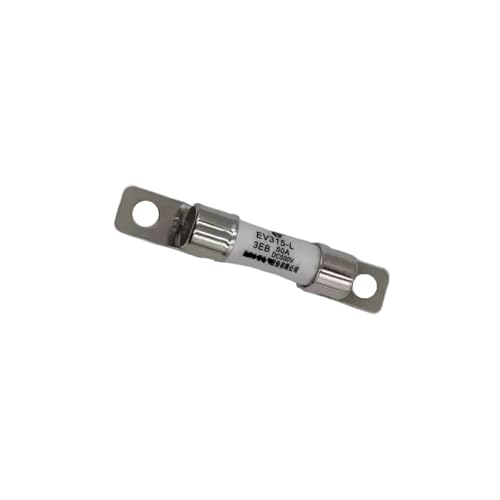 IEUMJNAT EV315-L-3EB15A EV315-L-3EB20A-HS EV315-L-3EB50A EV315-L-3EB30A EV315-L-3EB10A EV315-L-3EB40A 60A Sicherung 1 Stück 500 V DC (EV315-L-3EB30A) von IEUMJNAT