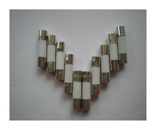 IEUMJNAT Sicherungen, 6,3 A, 250 V, 5 mm x 20 mm, 100 Stück pro Stück von IEUMJNAT
