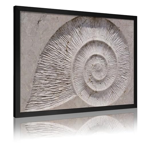 IEZUENR Fossil Snail Impression Poster gedruckt auf Leinwand mit Rahmen, dekorative Wandkunstdrucke, 30 x 45 cm von IEZUENR