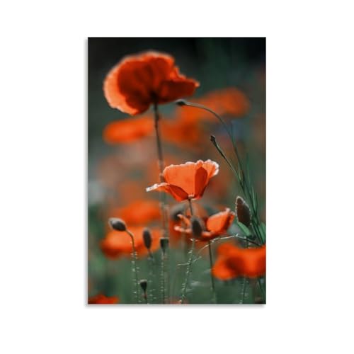 IEZUENR Poster mit Mohnblume auf der Wiese (1), Motiv: Rote Feld, natürliche Landschaft, Blumen, Pflanzen und Bäume, Kunstdrucke, Heimwand, ästhetisch, 20 x 30 cm von IEZUENR