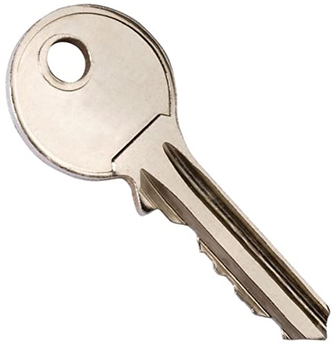 Cylindre laitonné 80 mm (40x40) V5x40 série C 3601659748649 IFAM - 674864 von IFAM FRANCE