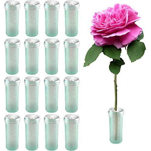 200 Stück florale Wasserröhren, 4,1 cm, klare Blumen-Ampullen mit Kappen zum Schneiden von Blumenarrangements 200 Stück florale Wasserröhren, 4,1 cm, klare Blumen-Ampullen mit Kappen zum Schneiden von Blumenarrangements von IFAMIO