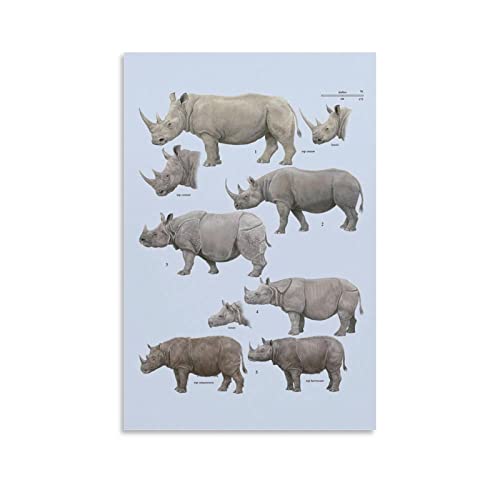 Tierposter Nashorn Animation Illustration Poster Dekorative Malerei Leinwand Wandkunst Wohnzimmer Poster Schlafzimmer Gemälde 30 x 45 cm von IFER