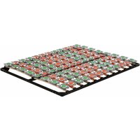 Lattenrost Tellerlattenrost flower Ergo IF57 - für alle Matratzen geeignet 180x200 cm Lattenrost Tellerlattenrost flower Ergo IF57 - für alle Matratzen geeignet 180x200 cm von IFLAIR