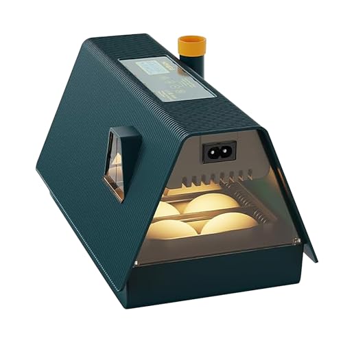 10 Eier Automatischer Mini-Inkubator für zu Hause, Mit Temperatur- und Feuchtigkeitsanzeige, LED-Display, Haus Zierleisten, Geeignet zum Ausbrüten von Hühnern, Enten, Gänsen, Tauben, Wachteln 10 Eier Automatischer Mini-Inkubator für zu Hause, Mit Temperatur- und Feuchtigkeitsanzeige, LED-Display, Haus Zierleisten, Geeignet zum Ausbrüten von Hühnern, Enten, Gänsen, Tauben, Wachteln von IGTOPS