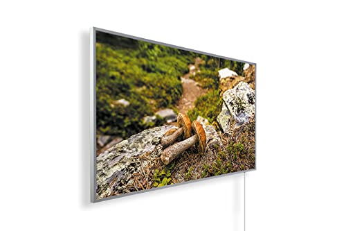 Infrarotheizung mit Bild – Bildmotive – TÜV SÜD - 1000 Watt Bildheizung - Weißer Rahmen (15. Zwei Pilze im Wald) von IH Engineering BV