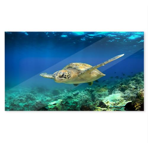 WANDURLAUB - Dein Bild auf Acryl - Basic Edition XXL - 100x60 cm Acrylglas - Brillanter Druck auf rahmenlosem Acryl inkl. Wandhalterung - Ultra HD Druck (13. Schildkröte unterwasser) von IH Engineering BV