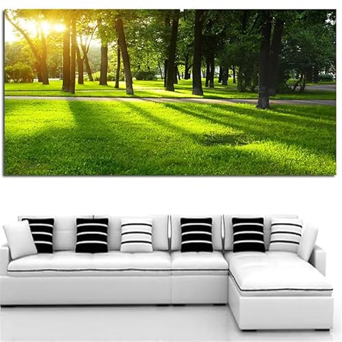 IHHGNB Wald- und Sonnenaufgang-Leinwandgemälde, Wandkunst, grüne Bäume, Waldplakate, Bilder für Wohnzimmer, Heimdekoration, ungerahmt (40 x 80 cm (16 x 31 Zoll)/ohne Rahmen) von IHHGNB