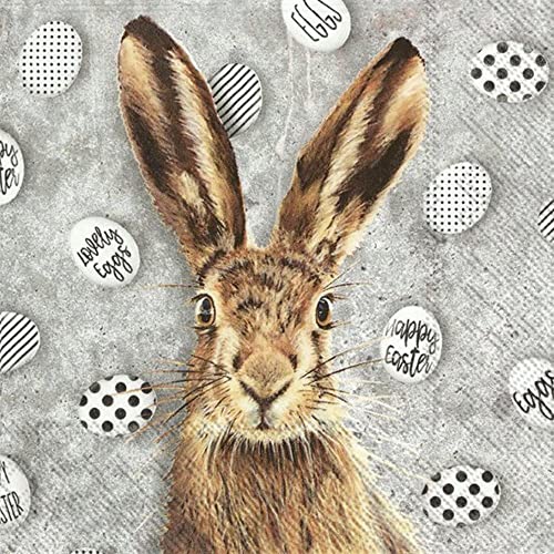 Ihr Lunch Servietten 33 x 33cm 20Stück 3-lagig Papier"oh my rabbit" Osterhase Artikel L850100 von Ihr Ideal Home Range GmbH