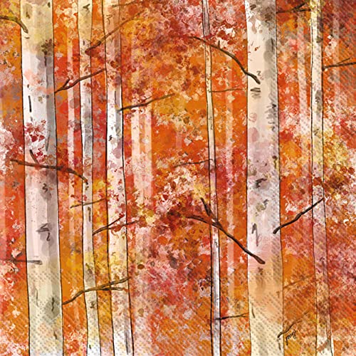 Herbstparty-Servietten – 40 Stück | 2 Packungen mit 20 CT Cocktail-Servietten | Herbst-Birken-Design, 12,7 x 12,7 cm Herbstparty-Servietten – 40 Stück | 2 Packungen mit 20 CT Cocktail-Servietten | Herbst-Birken-Design, 12,7 x 12,7 cm von IHR Ideal Home Range