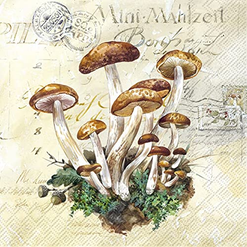 IHR Ideal Home Range - Papierservietten MUSHROOMS HARVEST cream 20 St. Lunch-Servietten 33 cm x 33 cm von IHR Ideal Home Range