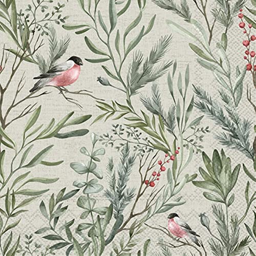 IHR Ideal Home Range - Papierservietten WINTER GREENS cream 20 St. Lunch-Servietten 33 cm x 33 cm IHR Ideal Home Range - Papierservietten WINTER GREENS cream 20 St. Lunch-Servietten 33 cm x 33 cm von IHR Ideal Home Range