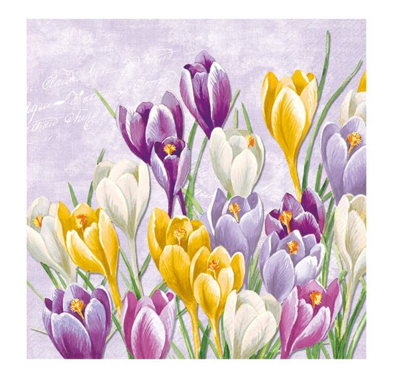 IHR Papierserviette Blühender Krokus, (20 St), 33 cm x 33 cm von IHR