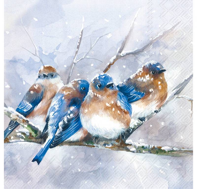 IHR Papierserviette Cuddly Birdies, (20 St), 33x33cm, 20 Stück von IHR