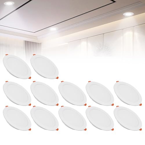 IINCOOY 12er-Pack LED-Einbauleuchten, Wählen Sie DREI Beliebige Farben LED-Einbaudecken-Dreh- Und Verriegelungs-IP21-Downlights for Den Flur(Cold White,24w) von IINCOOY