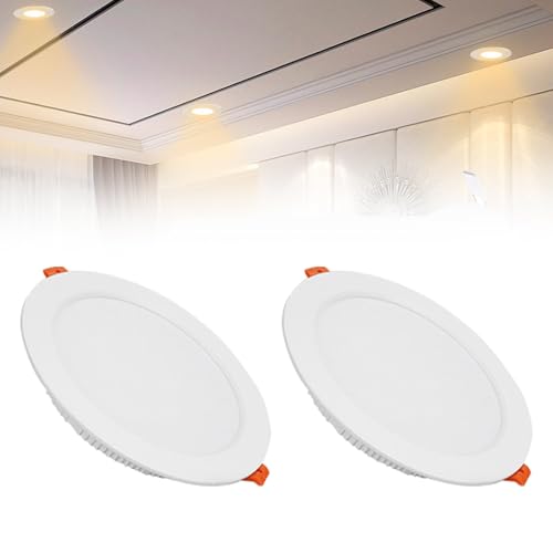 IINCOOY 2er-Pack LED-Deckeneinbauleuchten IP21 Downlight AC110-240V Ultra Slim Downlights, LED-Panelleuchte for Wohnzimmerflur(Warm White,24w) von IINCOOY