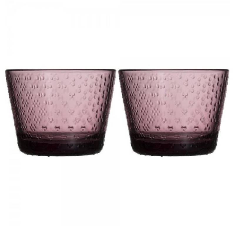 IITTALA Leerglas Trinkgläser Tundra Calluna (Klein) (2-teilig) von IITTALA