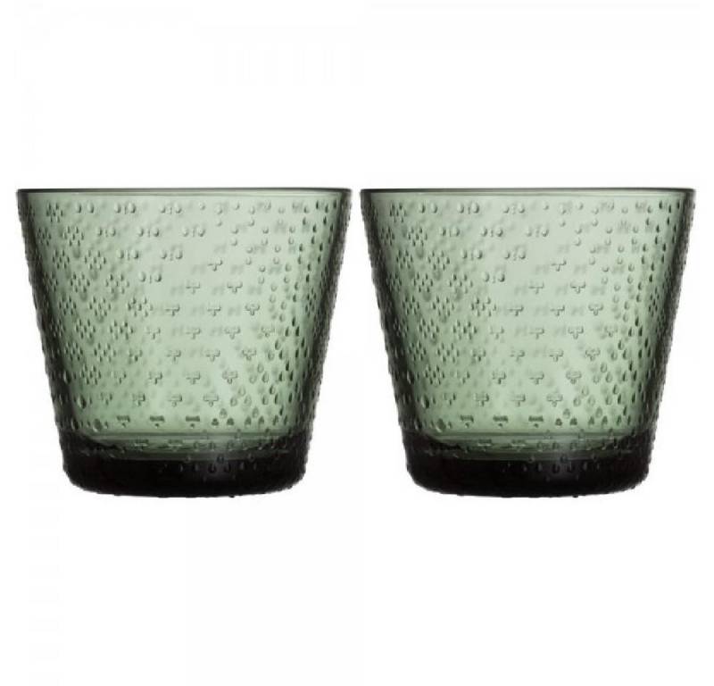 IITTALA Leerglas Trinkgläser Tundra Pine Green (Groß) (2-teilig) von IITTALA