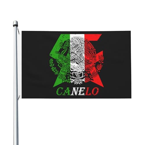 Canelo Boxer Alvarez-Flagge, doppelseitig, 90 x 150 cm, strapazierfähiges Polyester, lichtbeständig, Box-Fan-Banner, für den Innen- und Außenbereich von IJHRSFDST