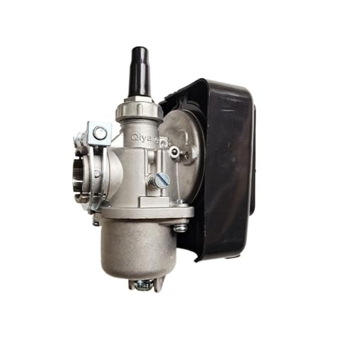 1E40F-5 Vergaserschwimmerbaugruppe kompatibel mit CG430 520 43CC 52CC-Motoren passt an TB43 TL43 TU43 TL52 BG-Modelle funktionieren mit 2-Takt-Nebel-Duster-Sprühgerät 1E40F-5 Vergaserschwimmerbaugruppe kompatibel mit CG430 520 43CC 52CC-Motoren passt an TB43 TL43 TU43 TL52 BG-Modelle funktionieren mit 2-Takt-Nebel-Duster-Sprühgerät von IJOSADON