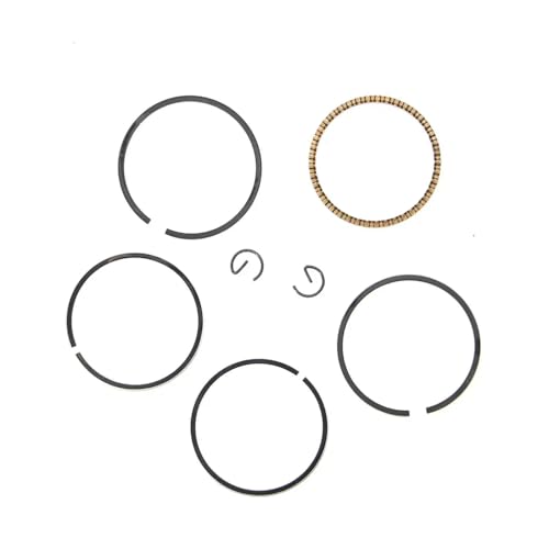 43 mm Kolbenring -Set kompatibel mit 47 9cc 4 Taktmotorenmodellen Kompatibel mit GX50 GX 50 Motor -Wiederaufbauteile 43 mm Kolbenring -Set kompatibel mit 47 9cc 4 Taktmotorenmodellen Kompatibel mit GX50 GX 50 Motor -Wiederaufbauteile von IJOSADON