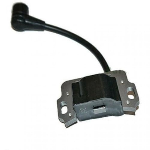 Zündspule kompatibel mit HA GX100 Motor Fits Motor Rammer Jumping Manper Compactor Modell 30500-Z0D-V01 Ersatzteil von IJOSADON
