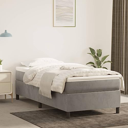 IKAYAA Boxspringbett 100x200 mit matratze Bett 100x200 mit lattenrost und matratze Polsterbett Bettgestell Samt -Hellgrau-100 x 200 cm von IKAYAA
