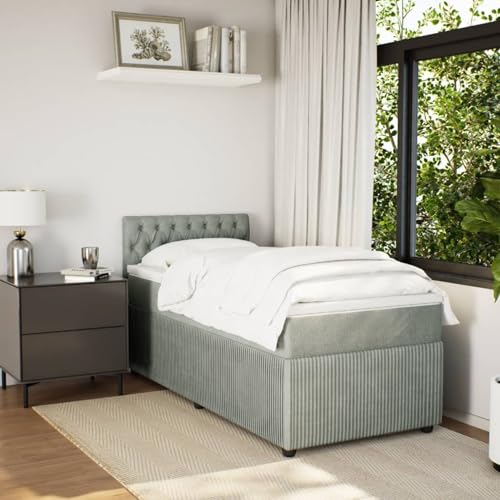 IKAYAA Boxspringbett 100x200 mit matratze und Topper Bett 100x200 mit matratze und lattenrost Polsterbett Einzelbett Schlafzimmer-Hellgrau-100 x 200 cm von IKAYAA