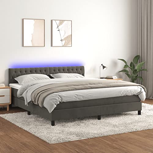 IKAYAA Boxspringbett 160 x 200 cm - Bett mit LED Beleuchtung, Topper & Matratzen - Boxspringbett 160 x 200 cm mit Matratze, Einzelbett mit Matratze, Polsterbett 160 x 200 cm Dunkelgrau Type-20 IKAYAA Boxspringbett 160 x 200 cm - Bett mit LED Beleuchtung, Topper & Matratzen - Boxspringbett 160 x 200 cm mit Matratze, Einzelbett mit Matratze, Polsterbett 160 x 200 cm Dunkelgrau Type-20 von IKAYAA