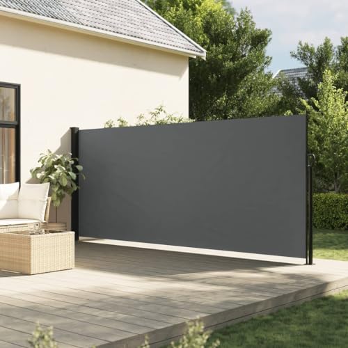 IKAYAA Seitenmarkise ausziehbar 180x600 Alu-Seitenmarkise Wandmakise Sichtschutz Sonnenschutz Blickdicht Windschutz Seitenrollo für Terrasse, Garten, Seitenmarkis-Anthrazit-180 x 600 cm von IKAYAA