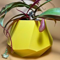 Selbstbewässernde Fleischfressende Pflanze 3D Gedruckt, Modernes Design Selbstbewässernde Fleischfressende Pflanze 3D Gedruckt, Modernes Design von IKEYAMAA