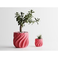 Gerippter Fließender Blumentopf - Moderner Pflanztopf | 3D-Gedruckt Umweltfreundlich Individuelle Größen Verfügbar Gerippter Fließender Blumentopf - Moderner Pflanztopf | 3D-Gedruckt Umweltfreundlich Individuelle Größen Verfügbar von IKEYAMAA