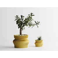 Selbstbewässernder Blumentopf Für Karnivoren - Ideales Wachstum Unter Perfekten Bedingungen von IKEYAMAA