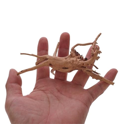 IKFGTJRE Aquarium Treibholz Aquarium Dekoration Holz Kleine Lebensraum Wurzeln Treibholz Landschaft Dekorative Ornamente Aquarium Landschaft Baum Wurzeln(10-15cm) von IKFGTJRE