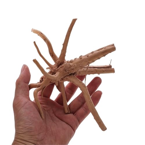 IKFGTJRE Aquarium Treibholz Aquarium Dekoration Holz Kleine Lebensraum Wurzeln Treibholz Landschaft Dekorative Ornamente Aquarium Landschaft Baum Wurzeln(15-20cm) von IKFGTJRE