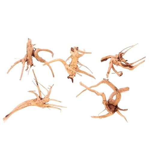IKFGTJRE Aquarium Treibholz Aquarium Dekoration Holz Kleine Lebensraum Wurzeln Treibholz Landschaft Dekorative Ornamente Aquarium Landschaft Baum Wurzeln(20-25CM) von IKFGTJRE
