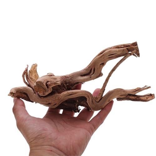 IKFGTJRE Aquarium Treibholz Aquarium Dekoration Holz Kleine Lebensraum Wurzeln Treibholz Landschaft Dekorative Ornamente Aquarium Landschaft Baum Wurzeln(25-30cm) von IKFGTJRE