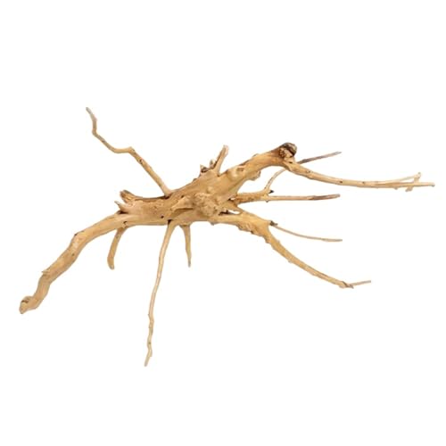 IKFGTJRE Aquarium Treibholz Aquarium Holz Wurzel Stamm Treibholz Aquarium Ornamente Landschaftsbau Dekoration Pflanzen for Aquarium Zubehör Wohnkultur(Trumpet 10 to 15CM) von IKFGTJRE