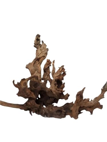 IKFGTJRE Aquarium Treibholz Aquarium Schildkröte Sonneninsel Holz Zweige Plattform Dekorative Wasserpflanze Stehen(0.5kg (20-30cm)) von IKFGTJRE