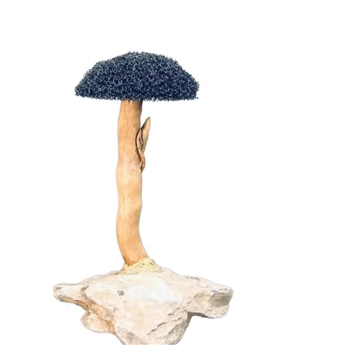 IKFGTJRE Aquarium Treibholz Aquarium Treibholz Landschaftsbau Dekoration Fisch Tank Holz DIY Ornament DIY Fisch Tank Handwerk Dekor(H10-15cm 1 Head) von IKFGTJRE